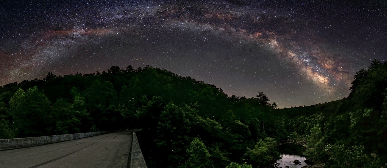 A stunning panoramic view of the night sky over a forested landscape